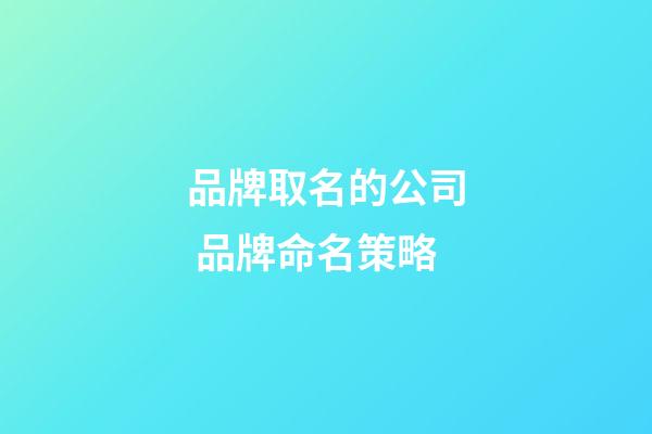 品牌取名的公司 品牌命名策略-第1張-公司起名-玄機派